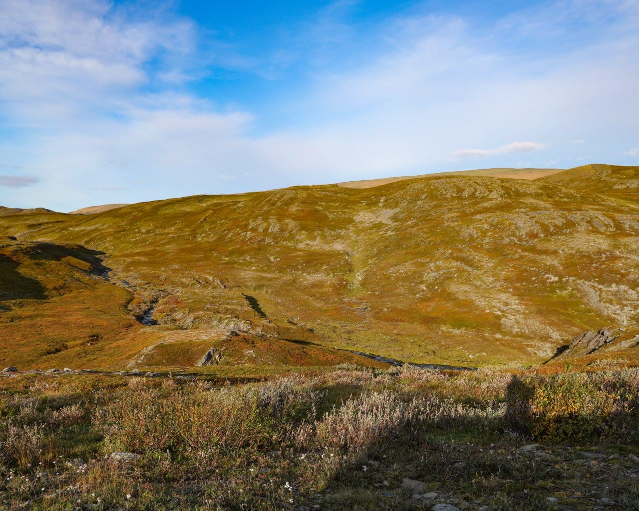 Berlevag_001