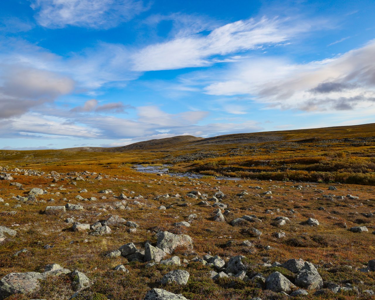 Berlevag_008