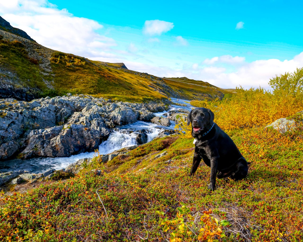 Berlevag_012
