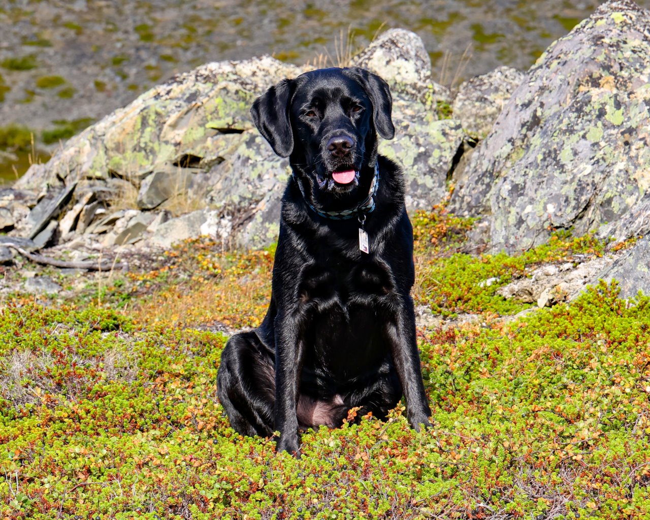 Berlevag_013
