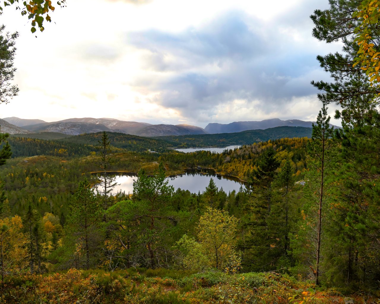 Helgelandroute_013