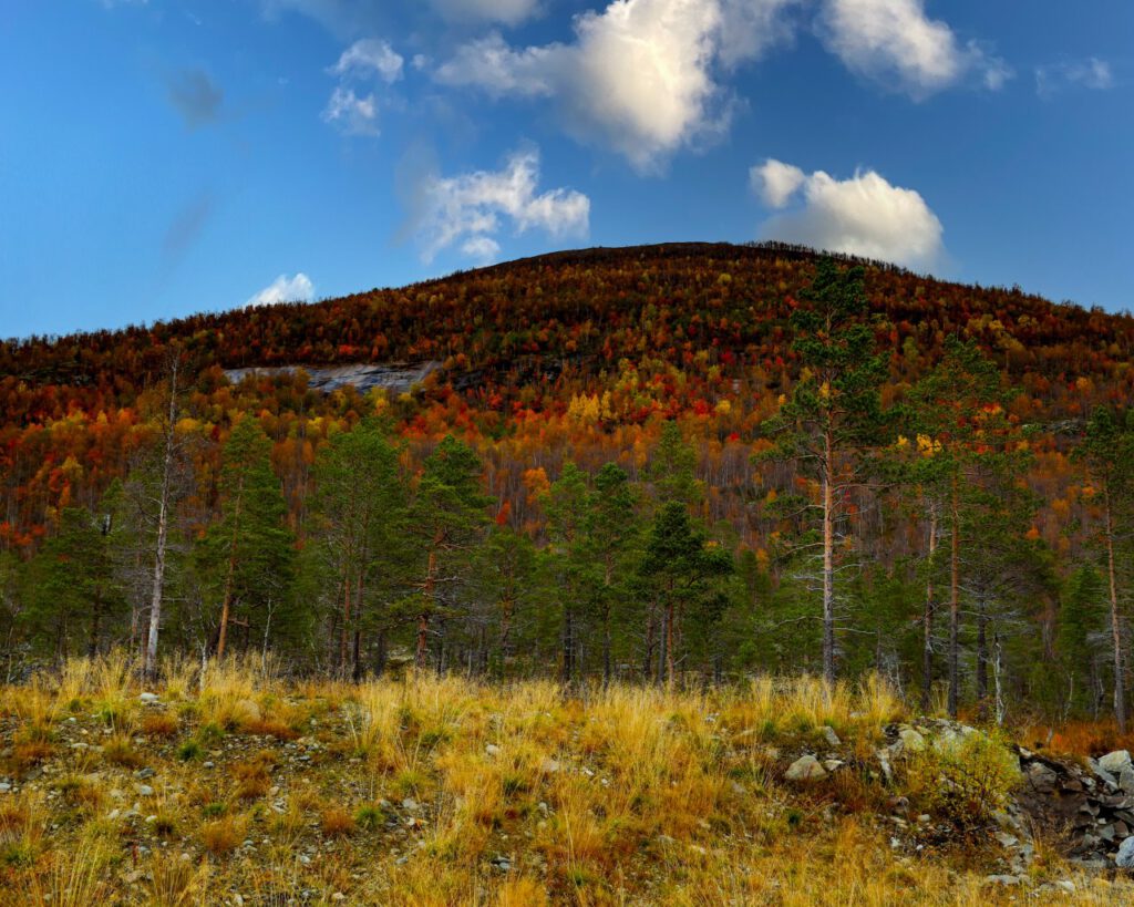 Umkehr_017