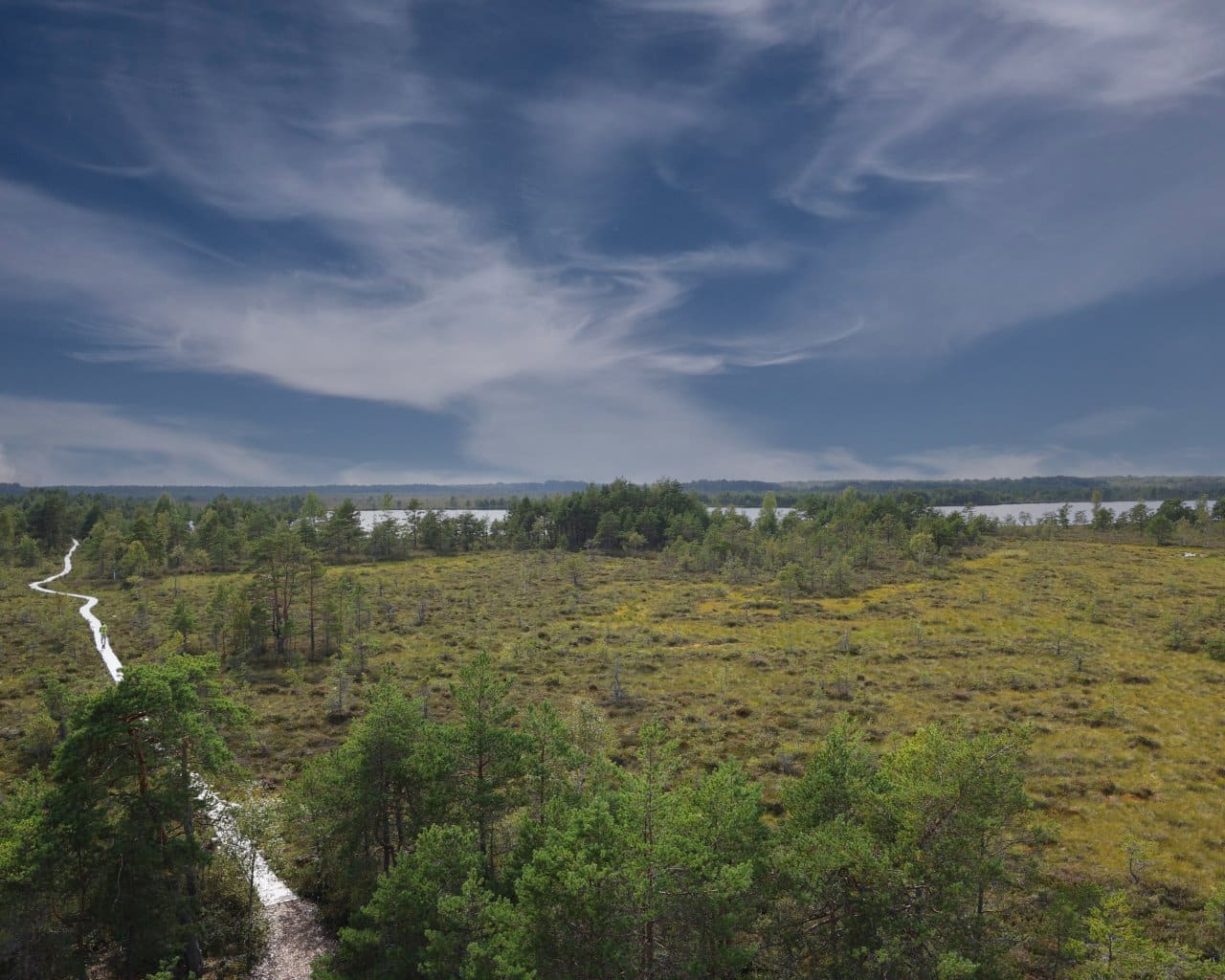 Kiogi_Trail_014