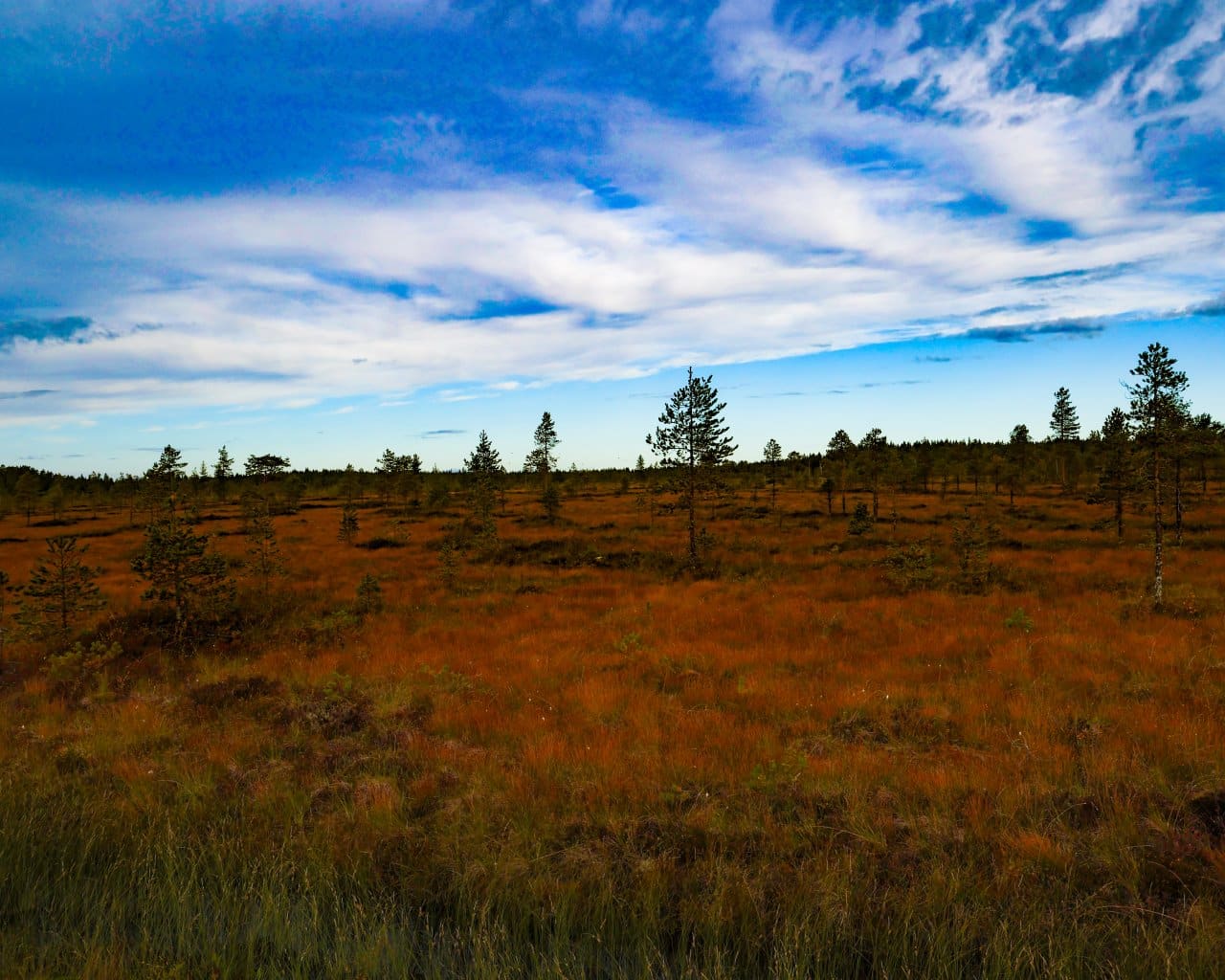 Vaala_FIN_05-09-23-002