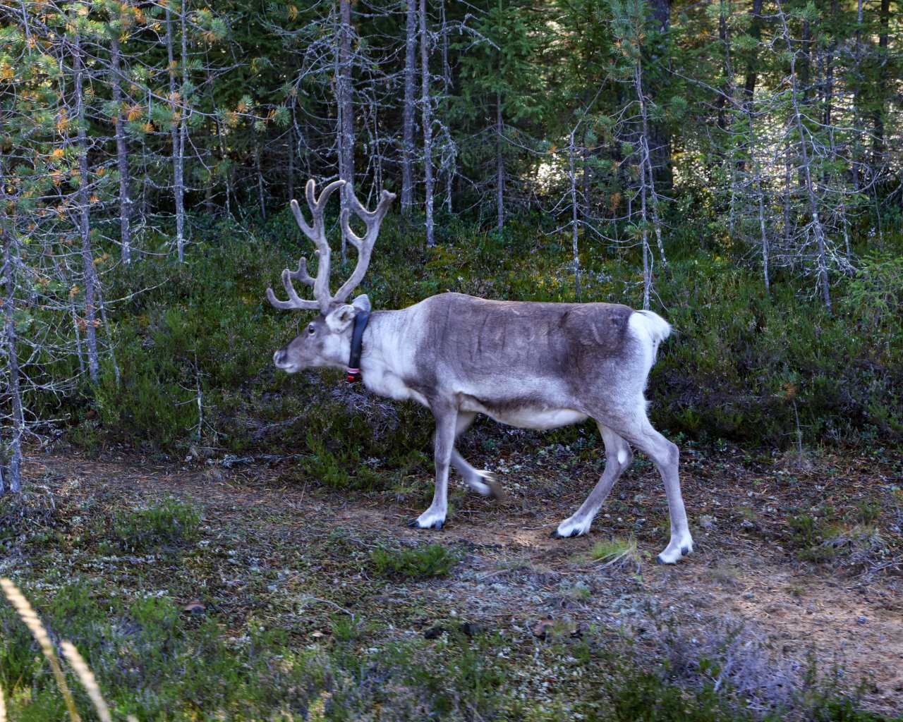 Vaala_FIN_05-09-23-006
