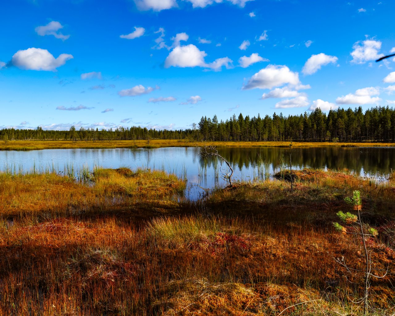 Vaala_FIN_05-09-23-009