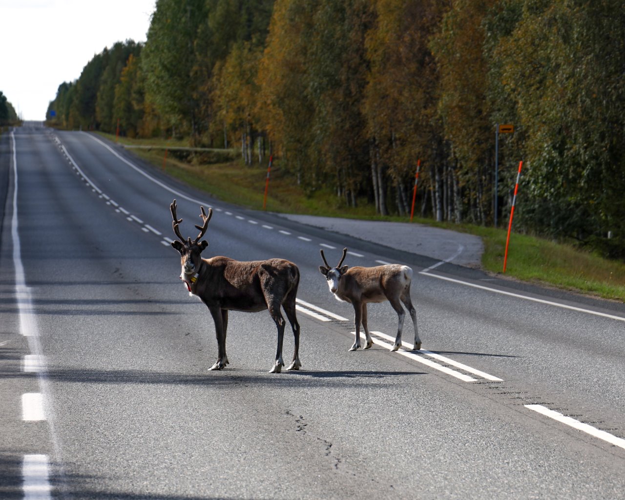 Vaala_FIN_05-09-23-012