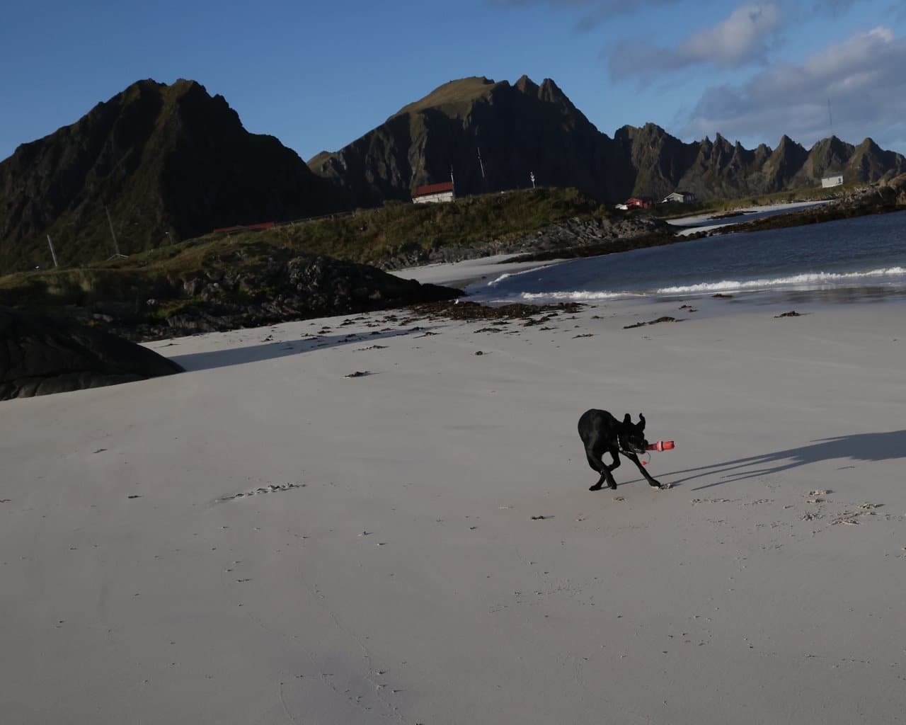 20-09-23-Andenes004