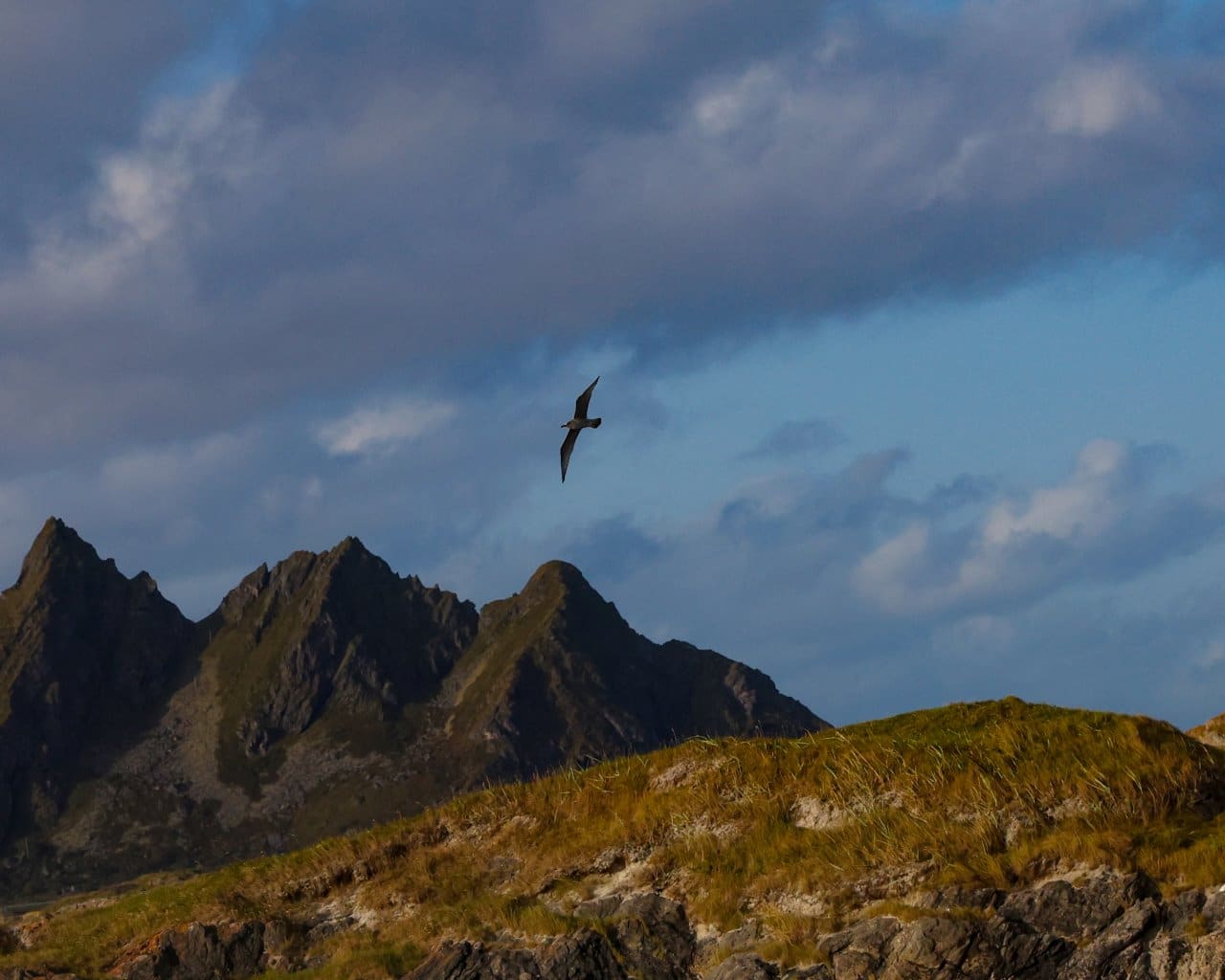 20-09-23-Andenes006