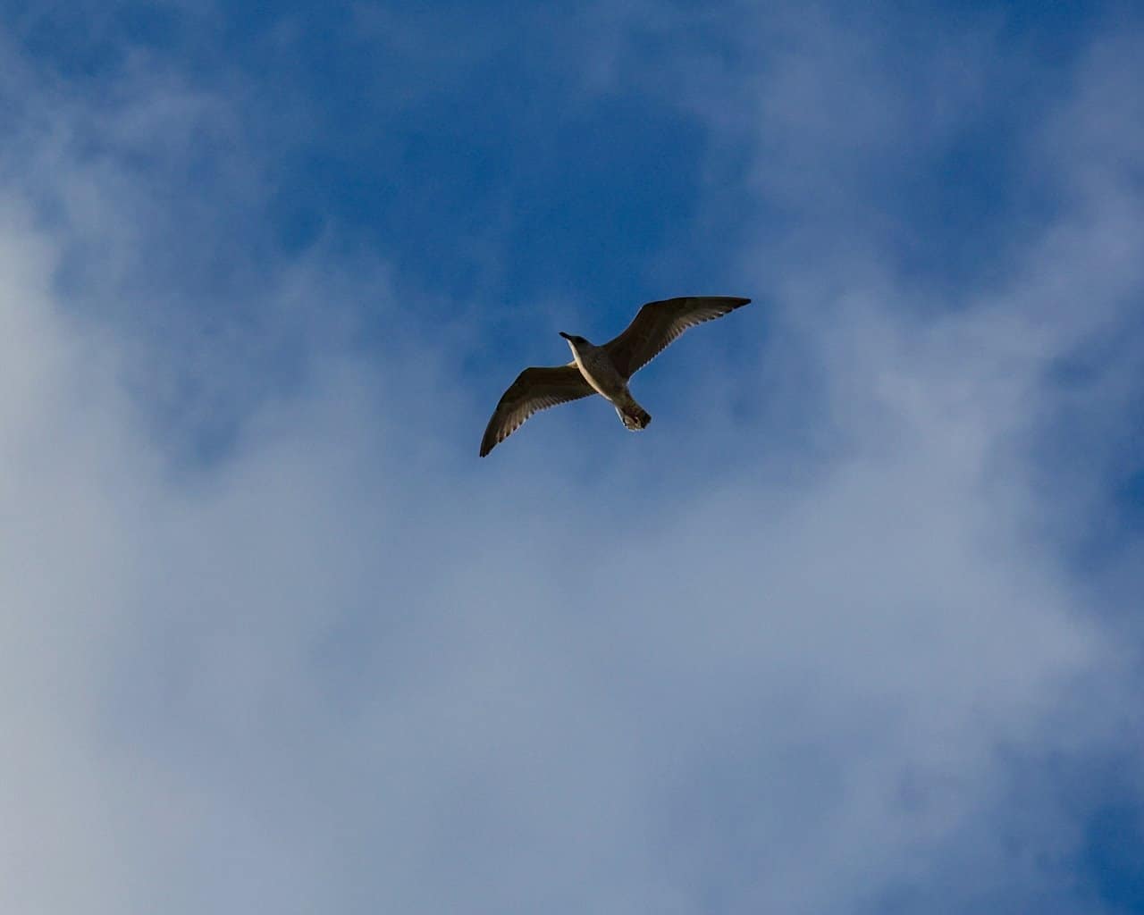 20-09-23-Andenes009