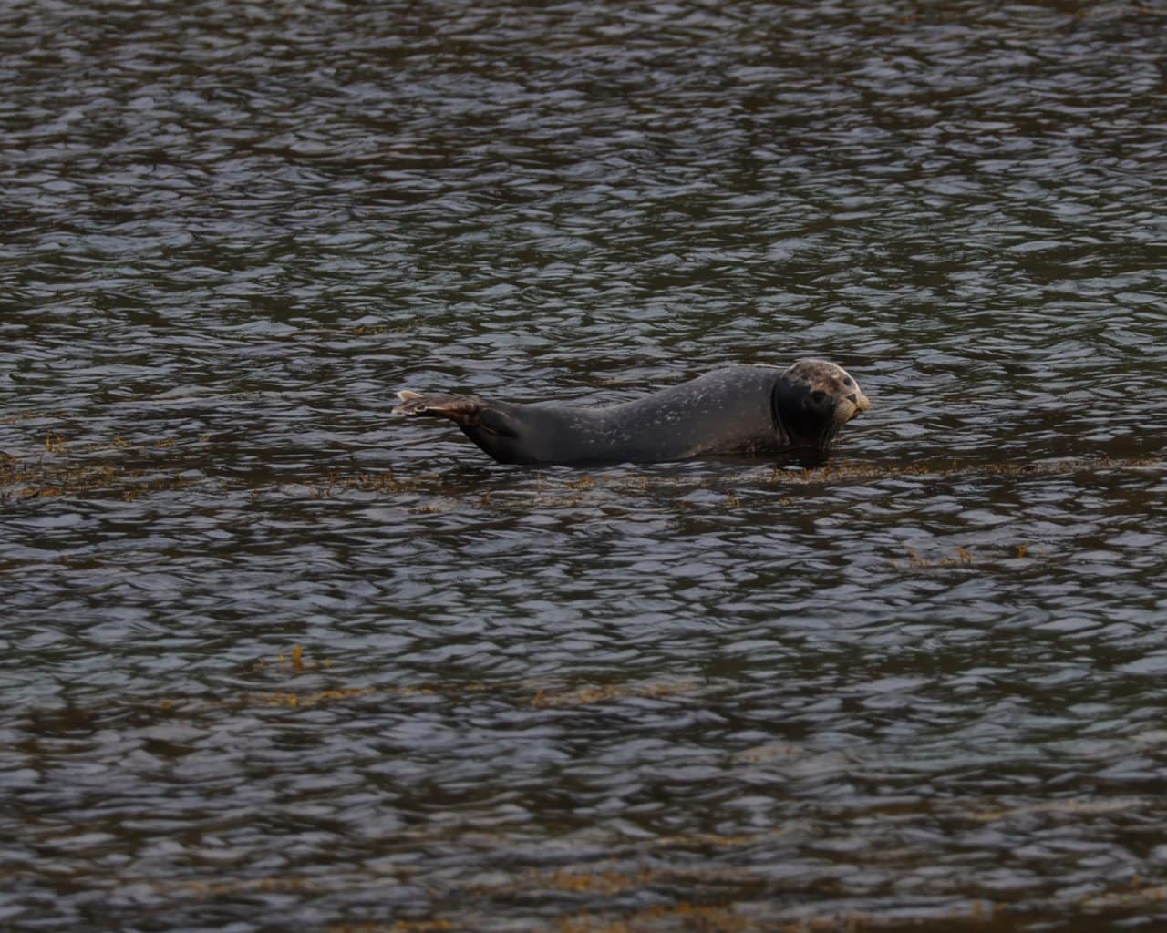 20-09-23-Andenes015