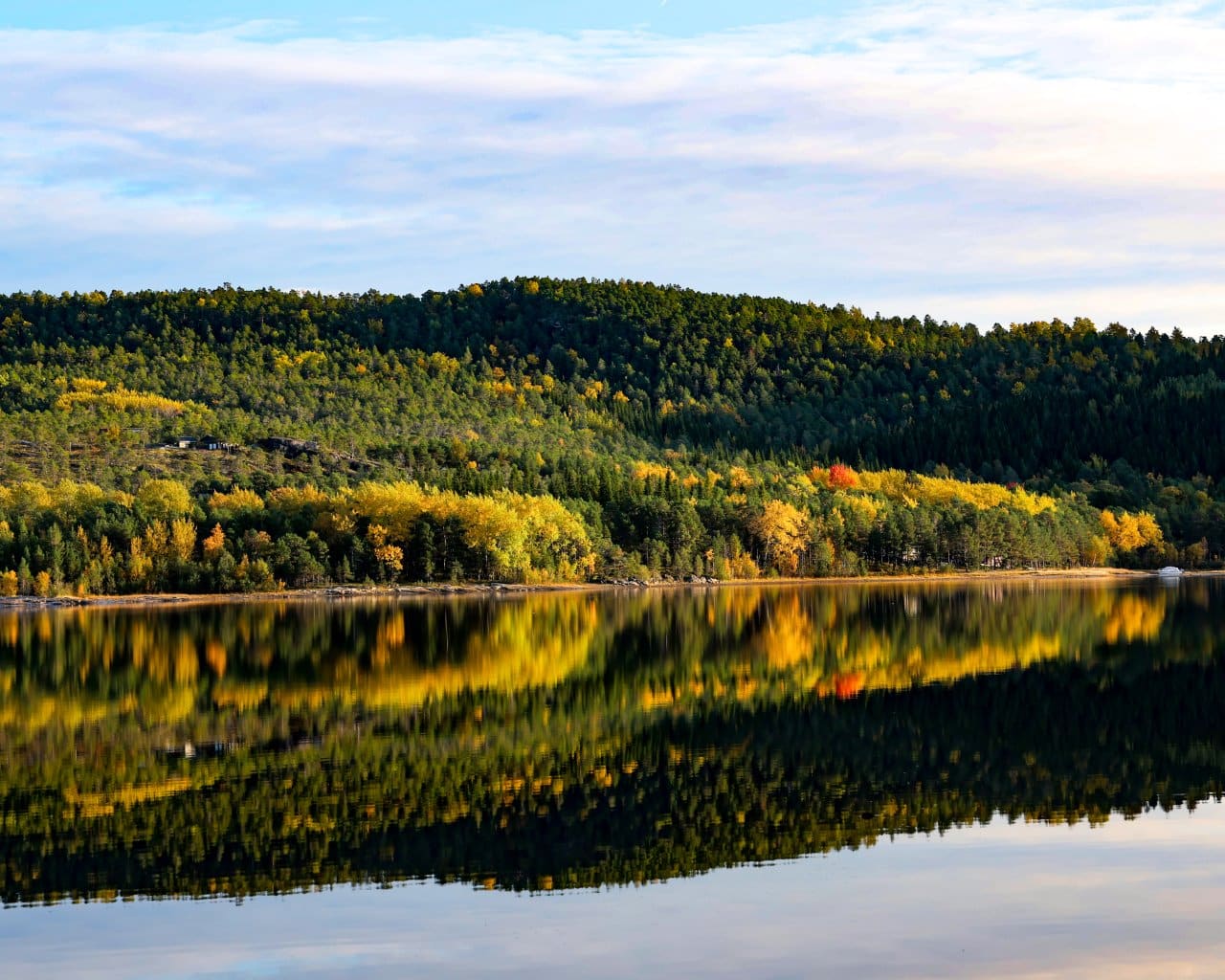 Fauske_004
