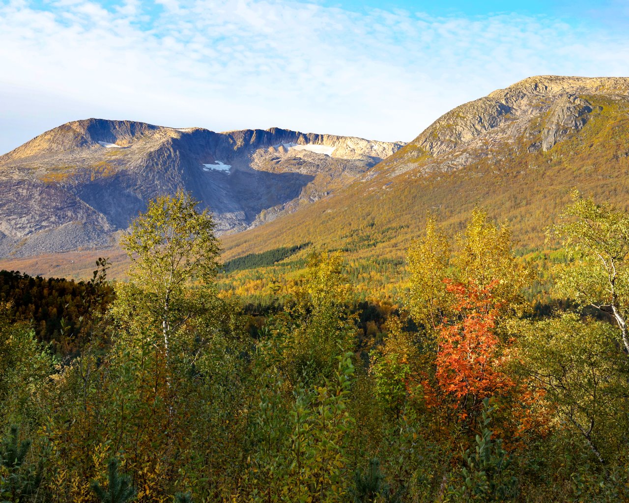 Fauske_006