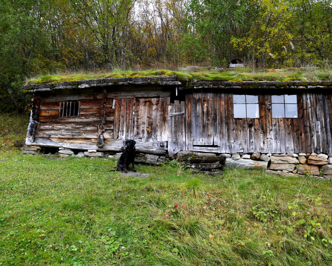 Fauske_010