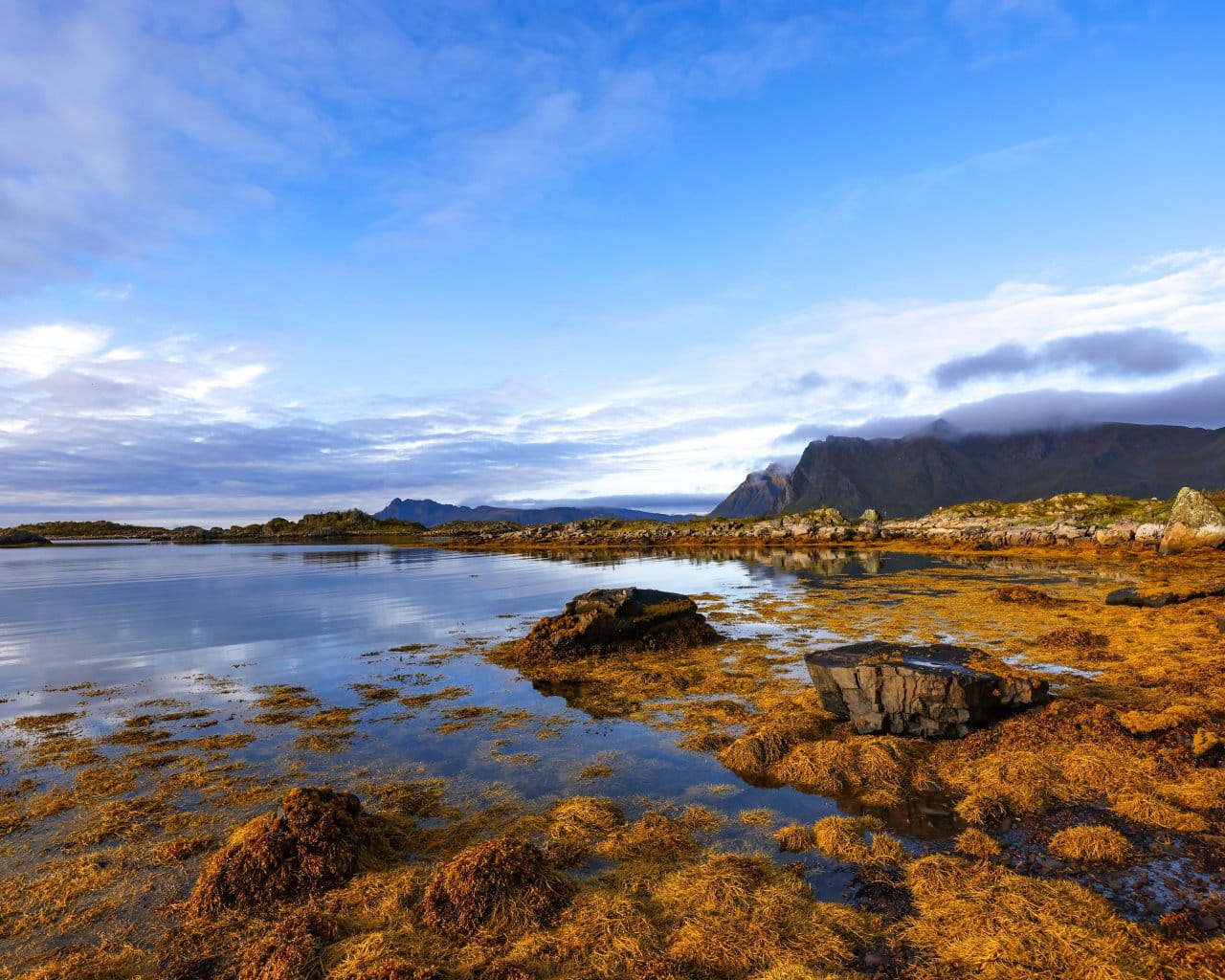 Haugland-Beach-008