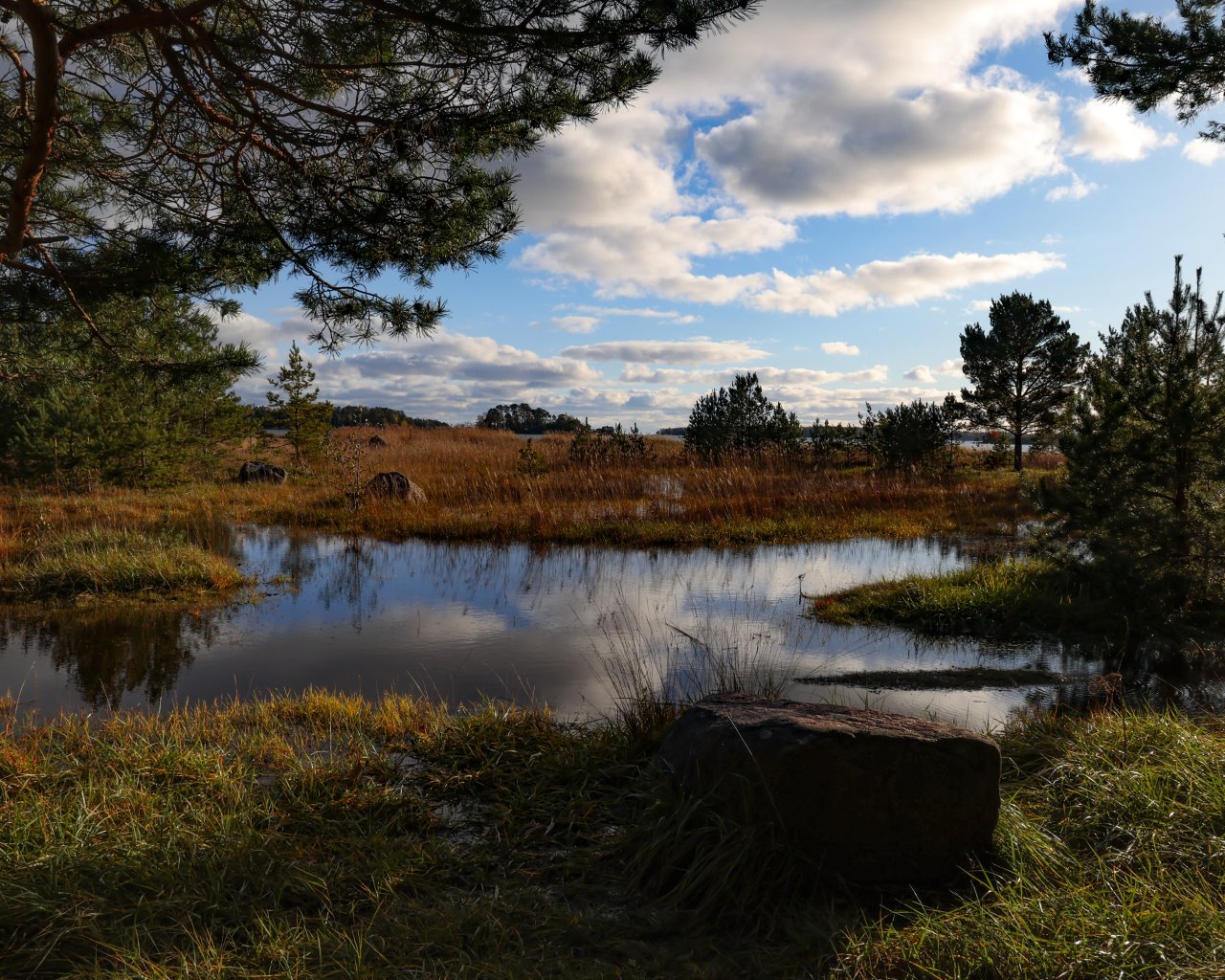 Kallahdenniemi Beach_004