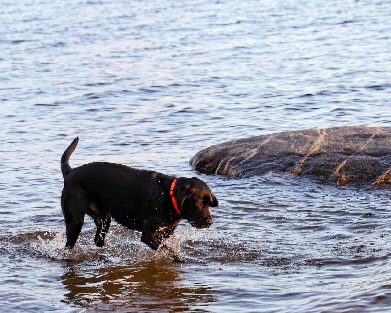 Kallahdenniemi Beach_006