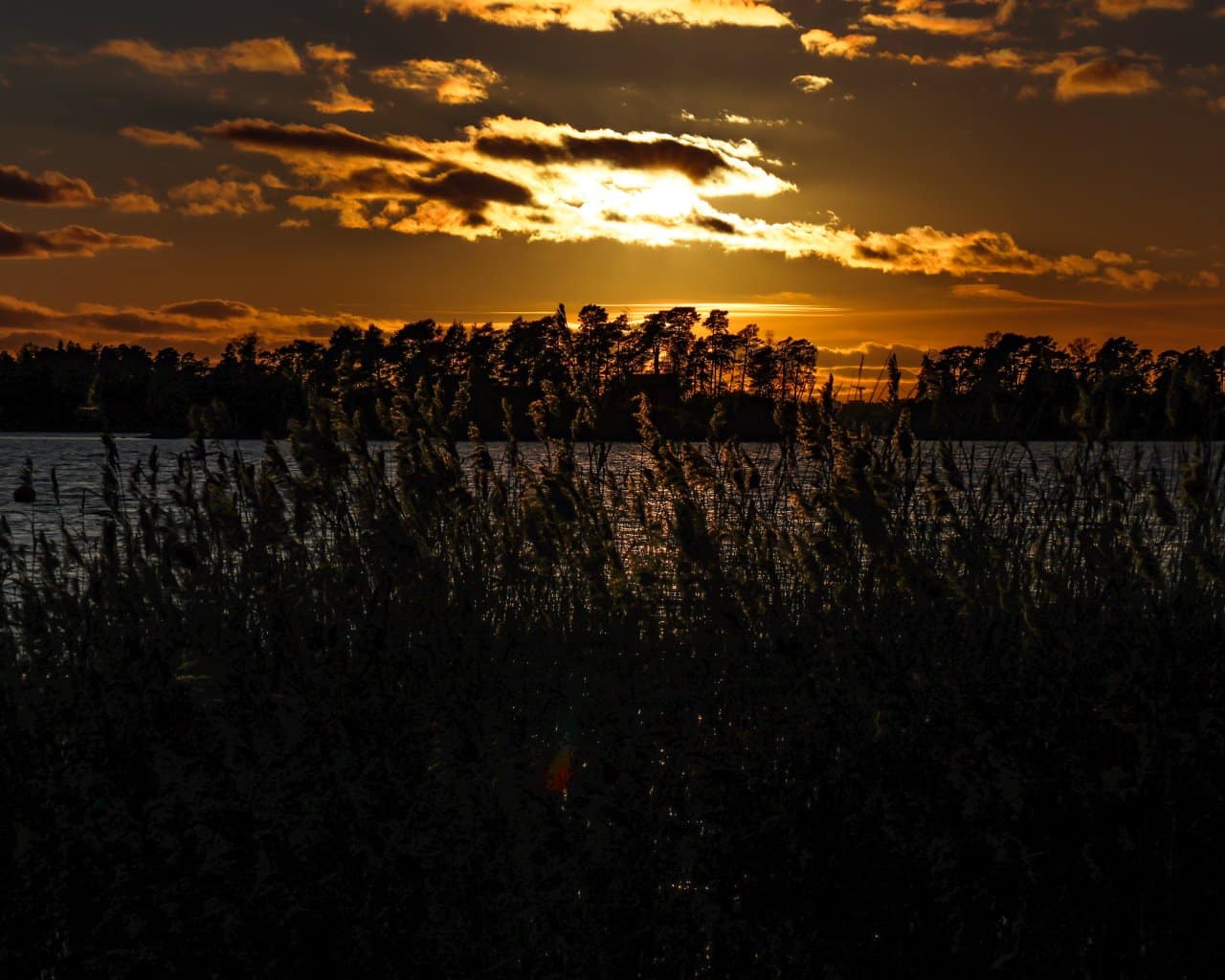 Kallahdenniemi Beach_009