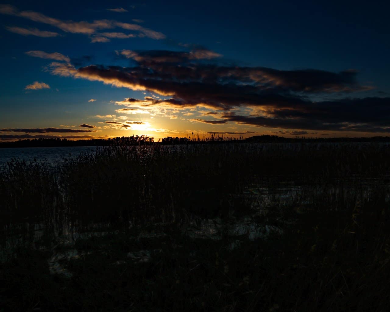 Kallahdenniemi Beach_010