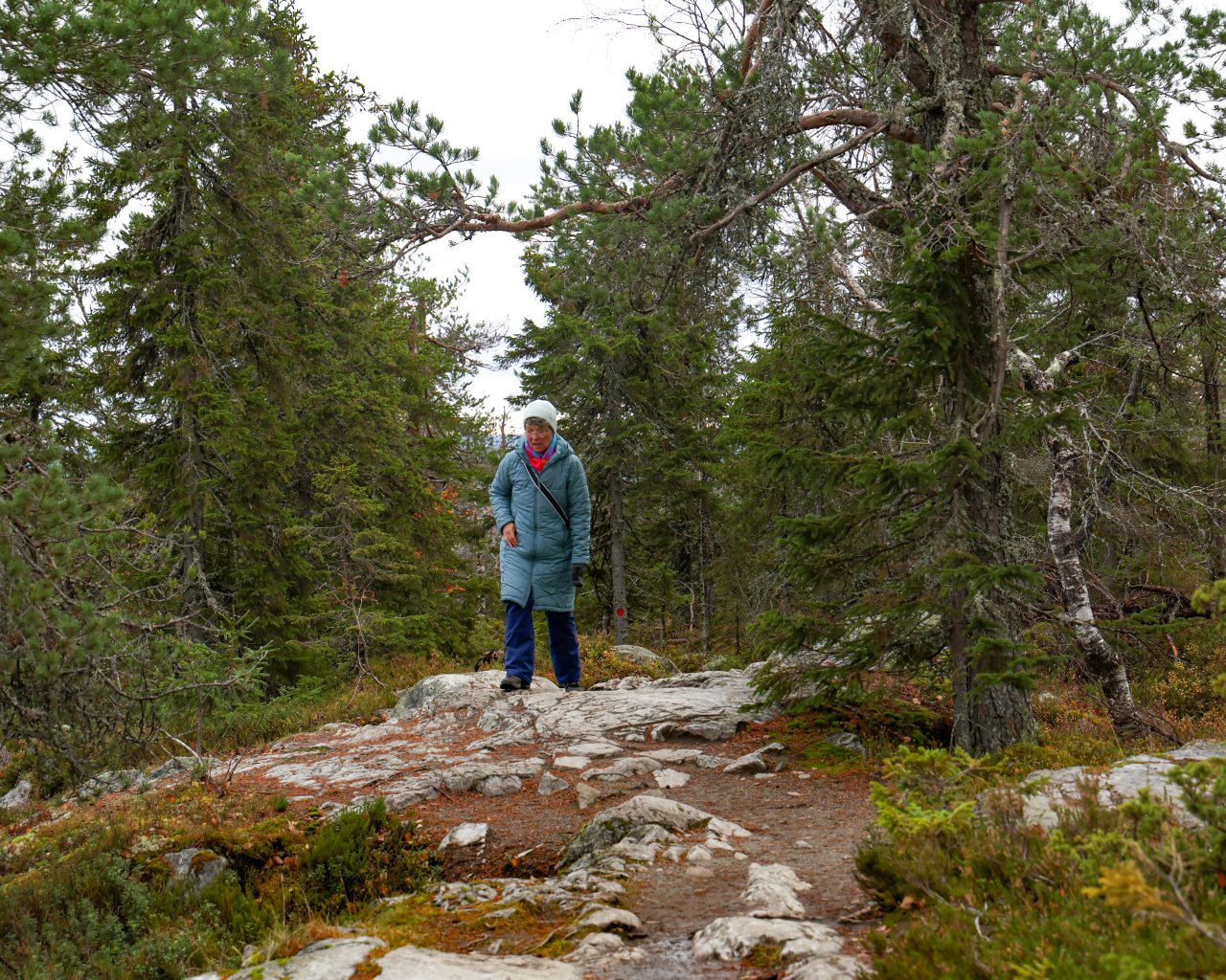 Koli_006
