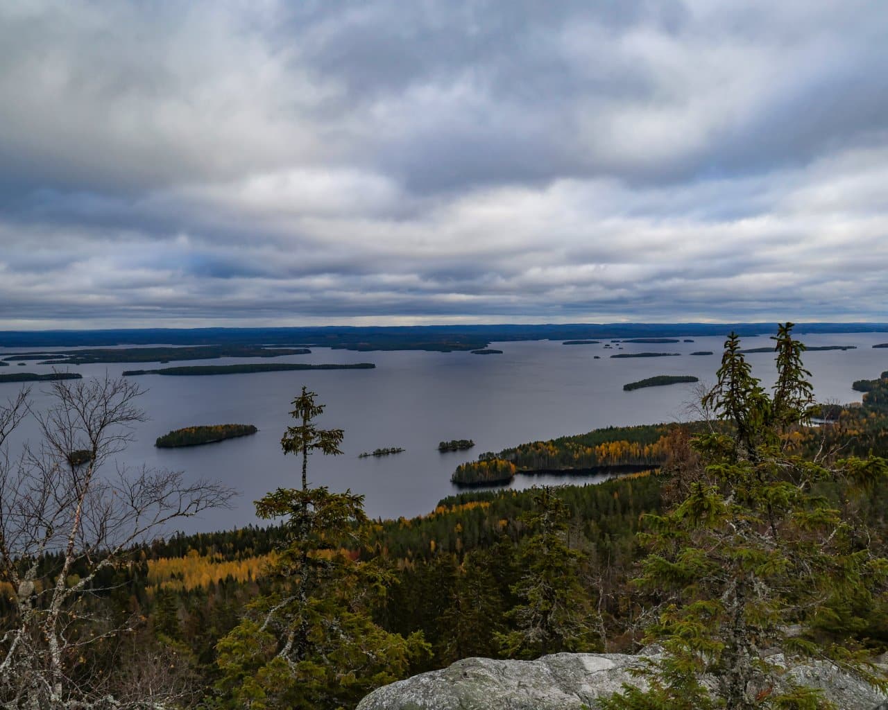 Koli_009