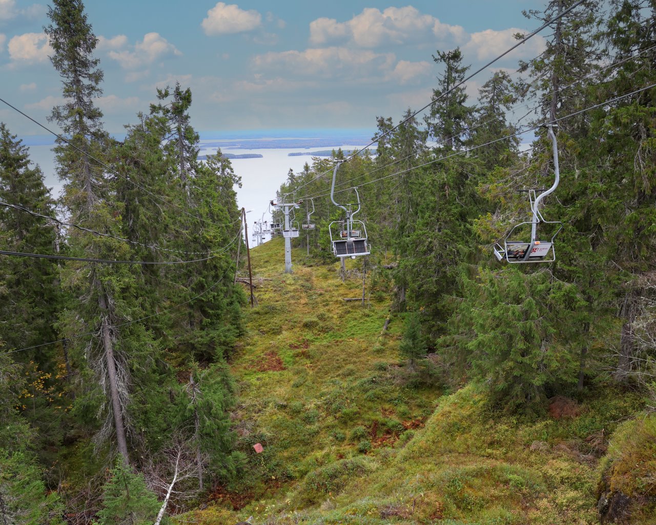 Koli_010