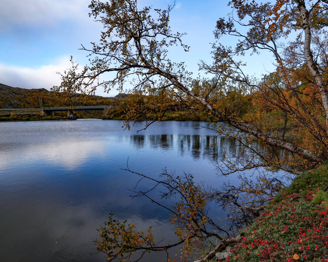 Mehamn-011