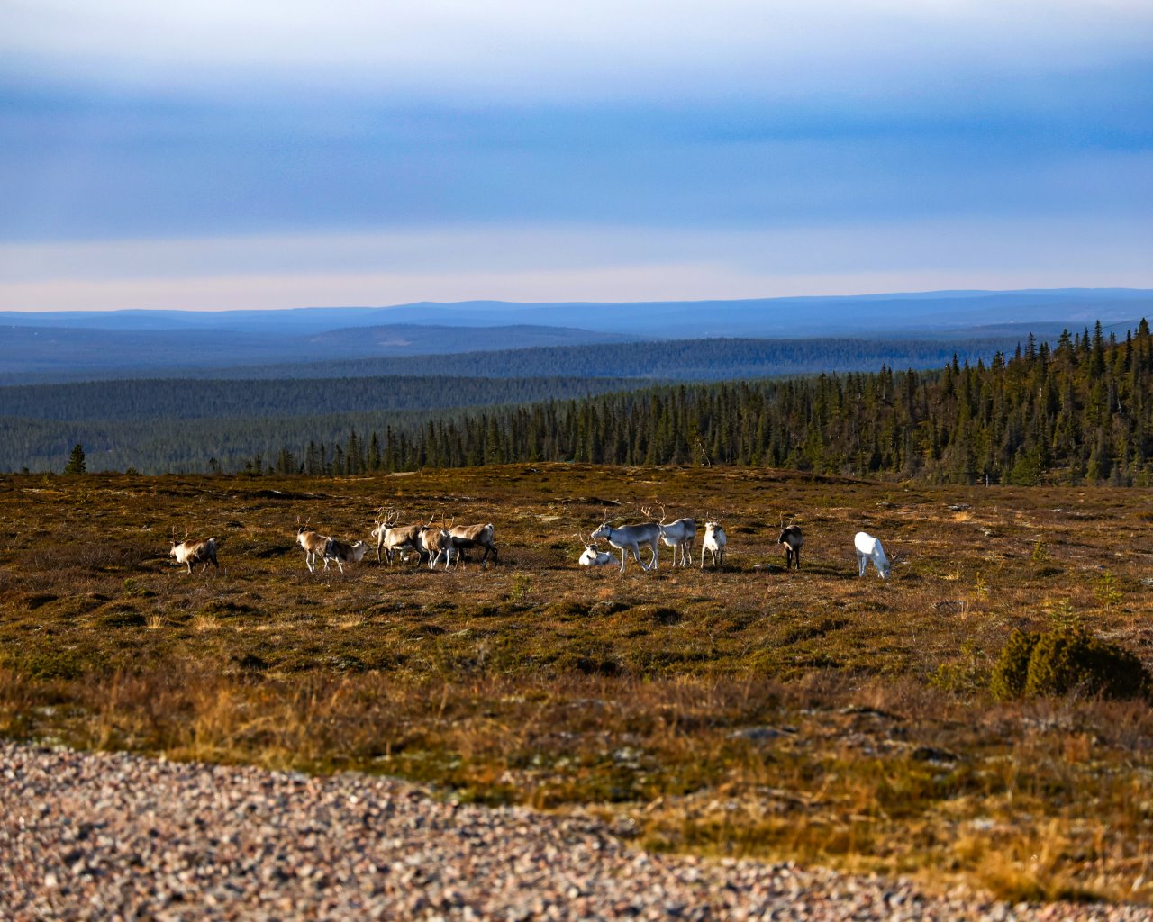 Muonio_Parken_014