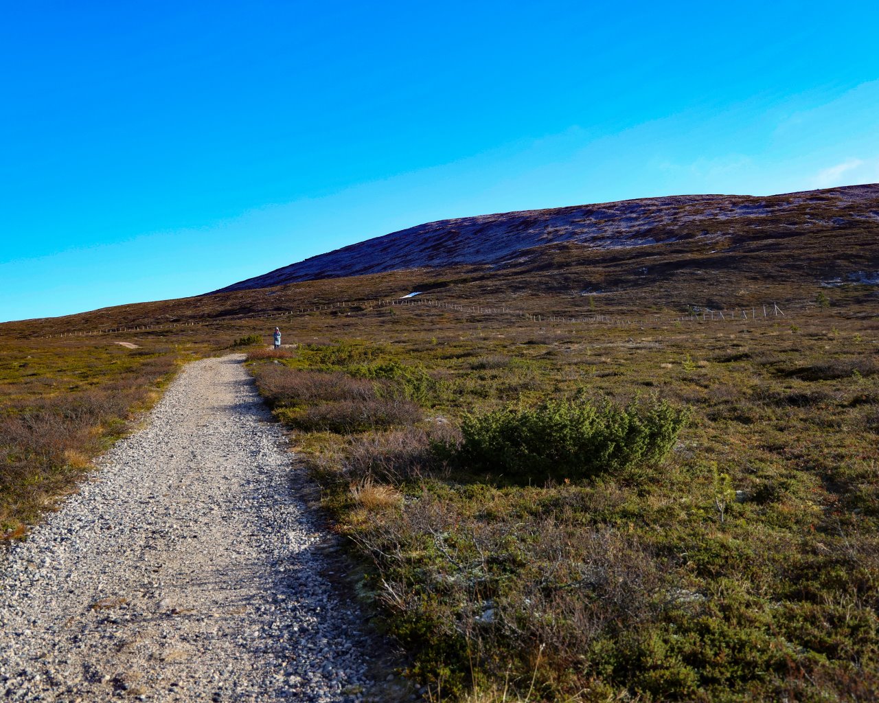 Muonio_Parken_015