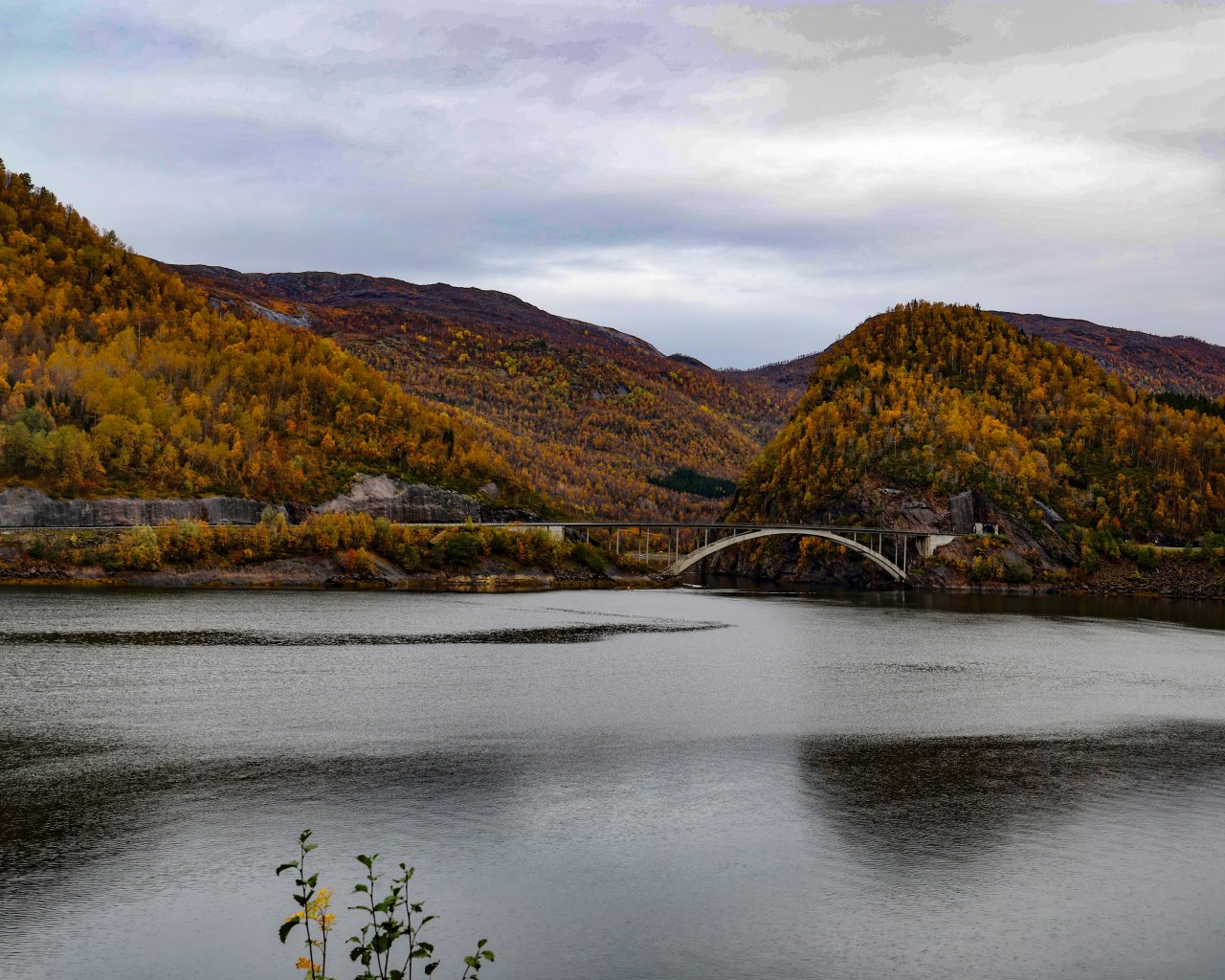 Narvik_001