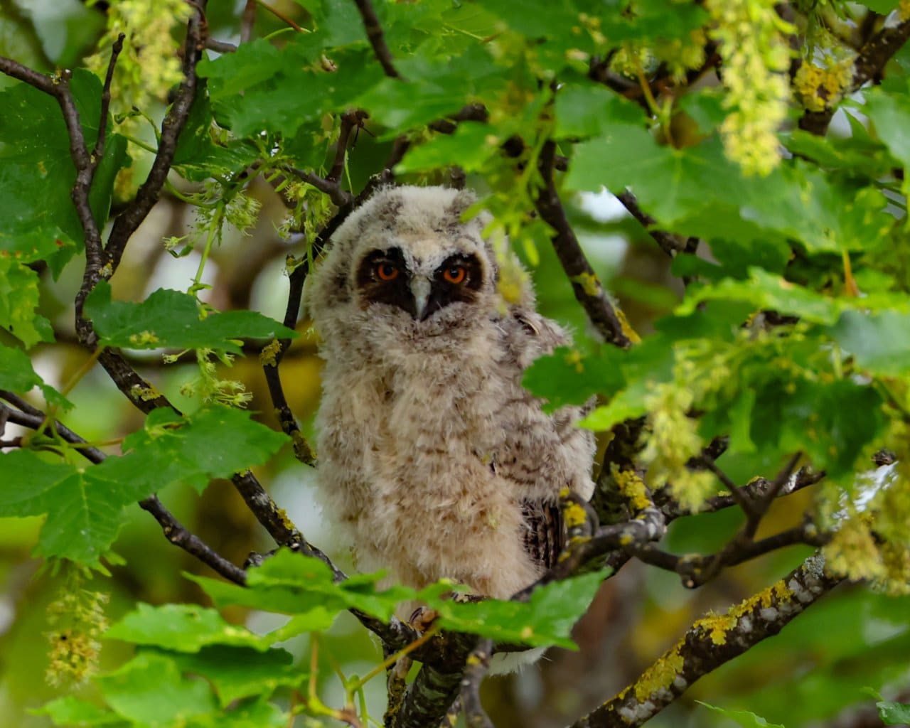 Natur_005