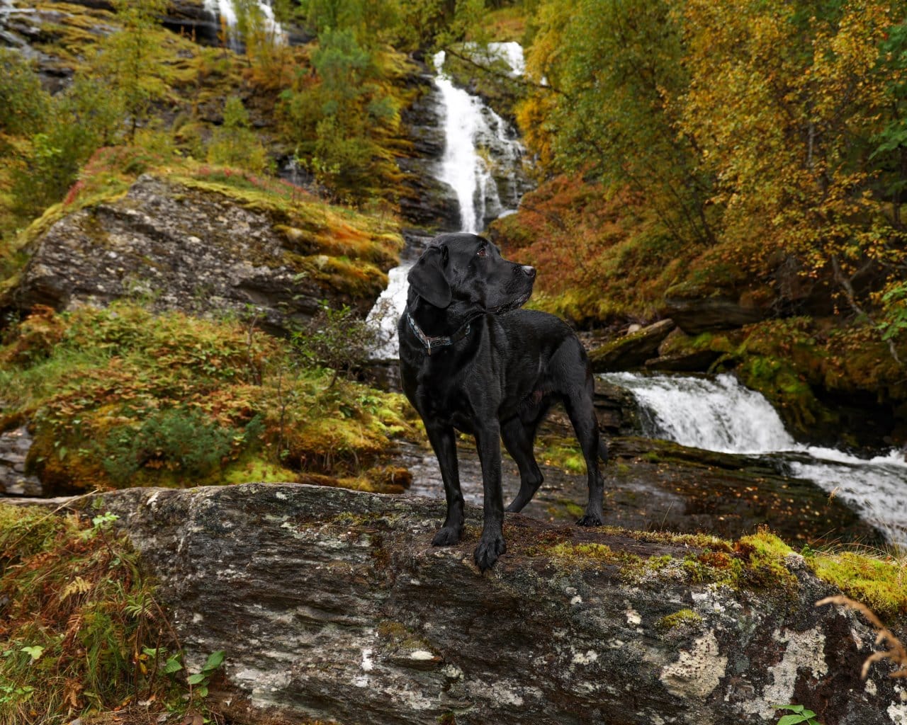 Okselva Waterfall-006