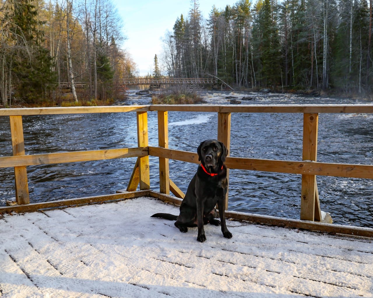 Raudanjoki_004