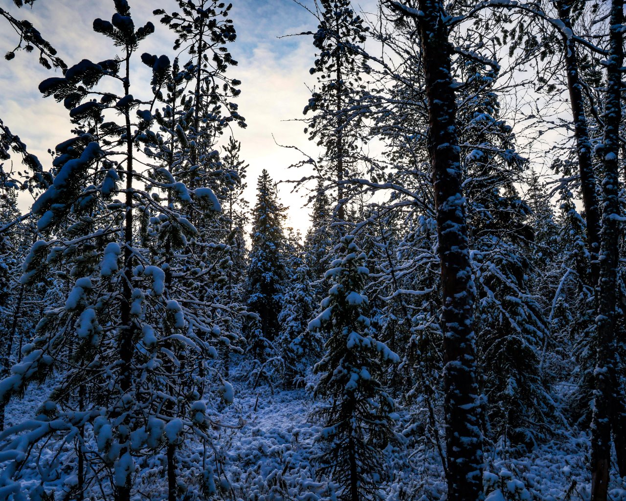 Raudanjoki_008