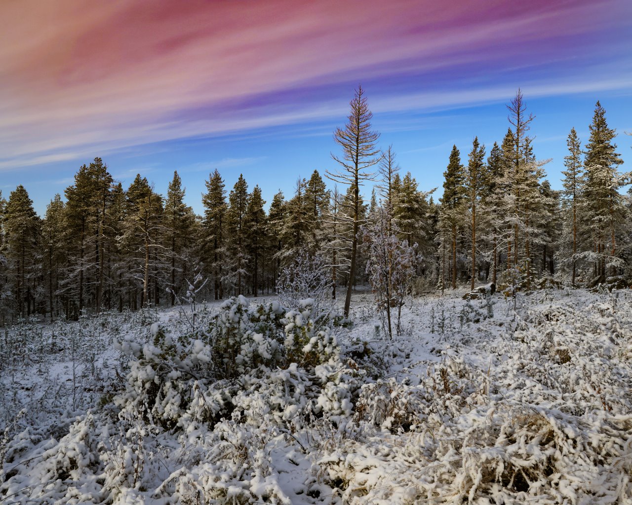 Rovaniemi_003