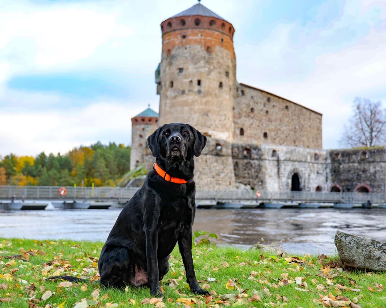 Sovolinna_005
