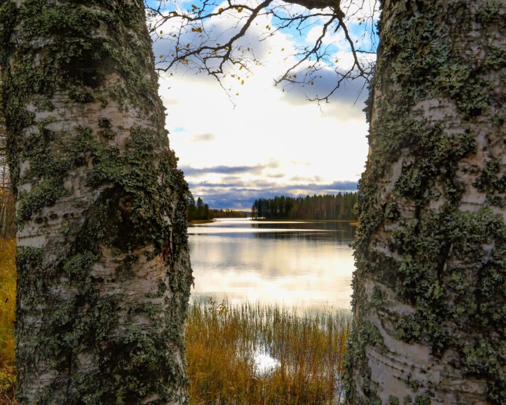 Sovolinna_008
