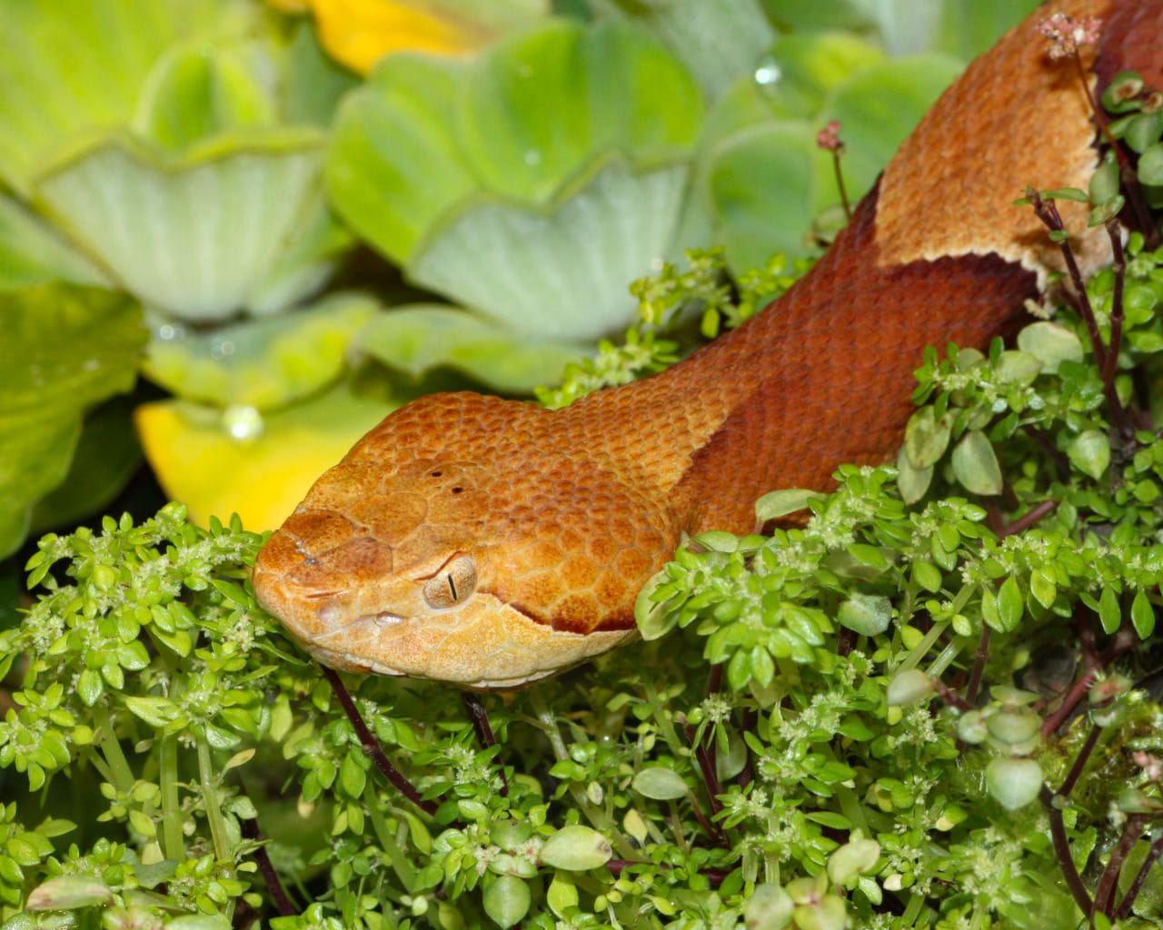 Zoo_Hellabrunn_011
