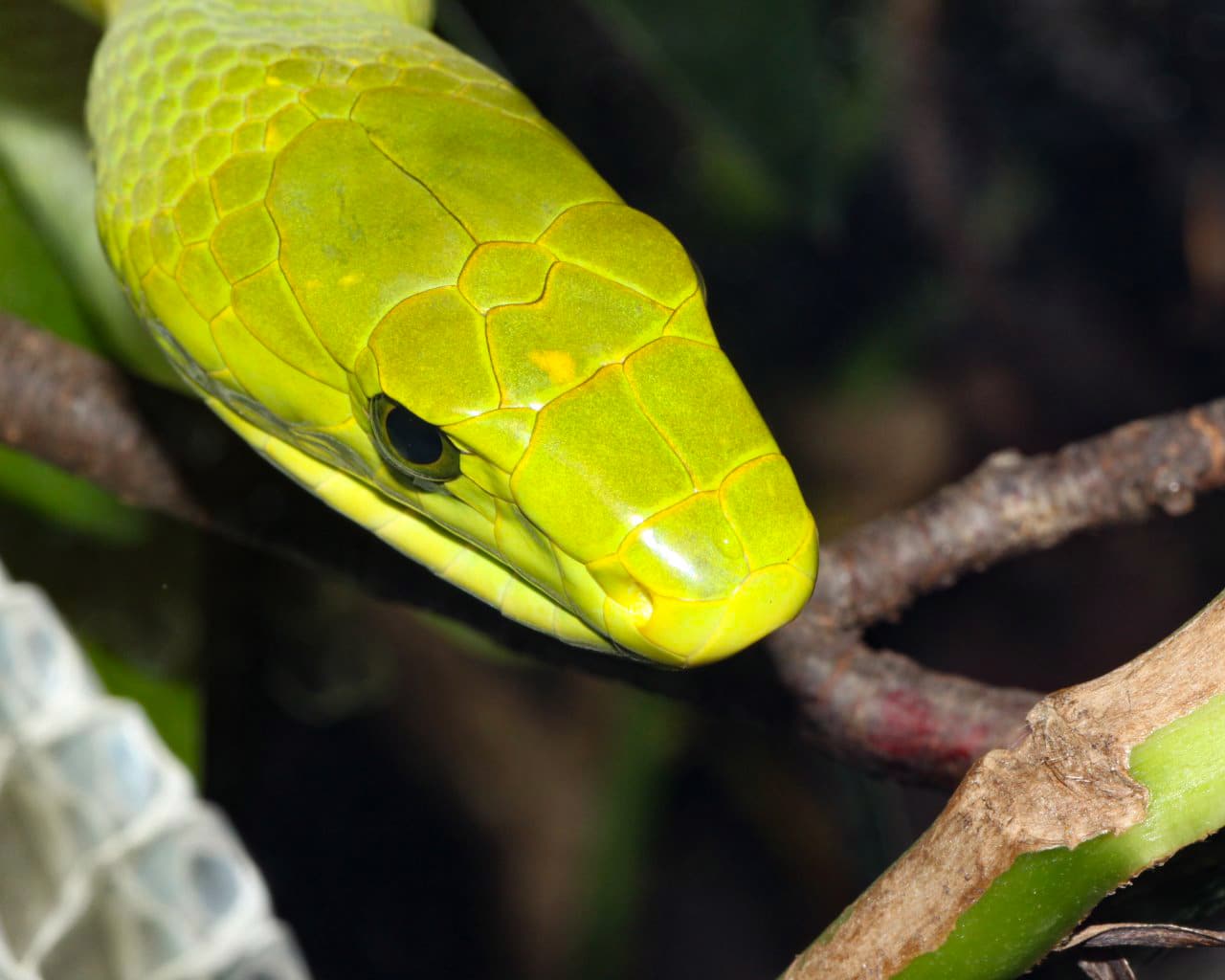 Zoo_Hellabrunn_012