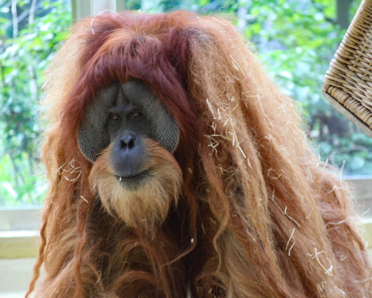Zoo_Hellabrunn_016