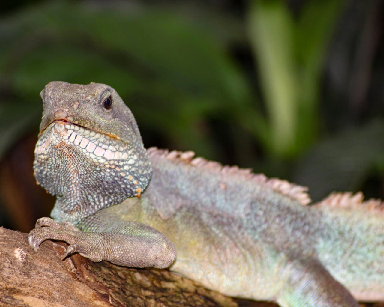 Zoo_Hellabrunn_020