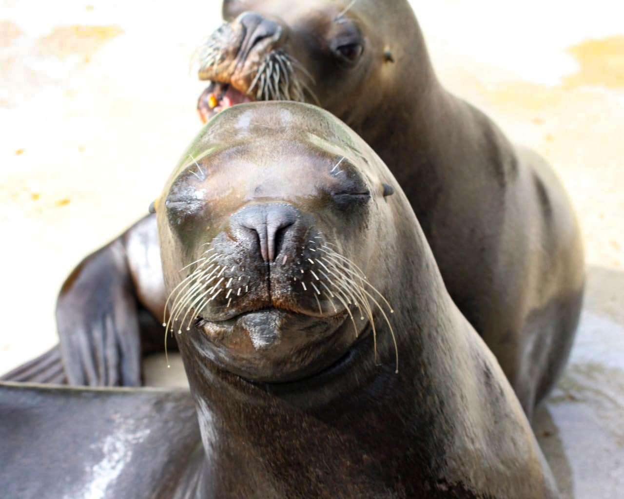 Zoo_Hellabrunn_025