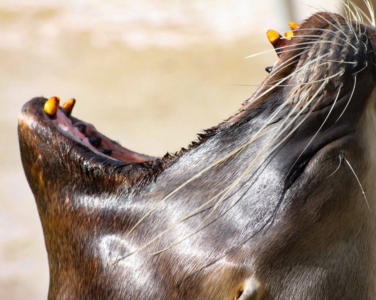 Zoo_Hellabrunn_029