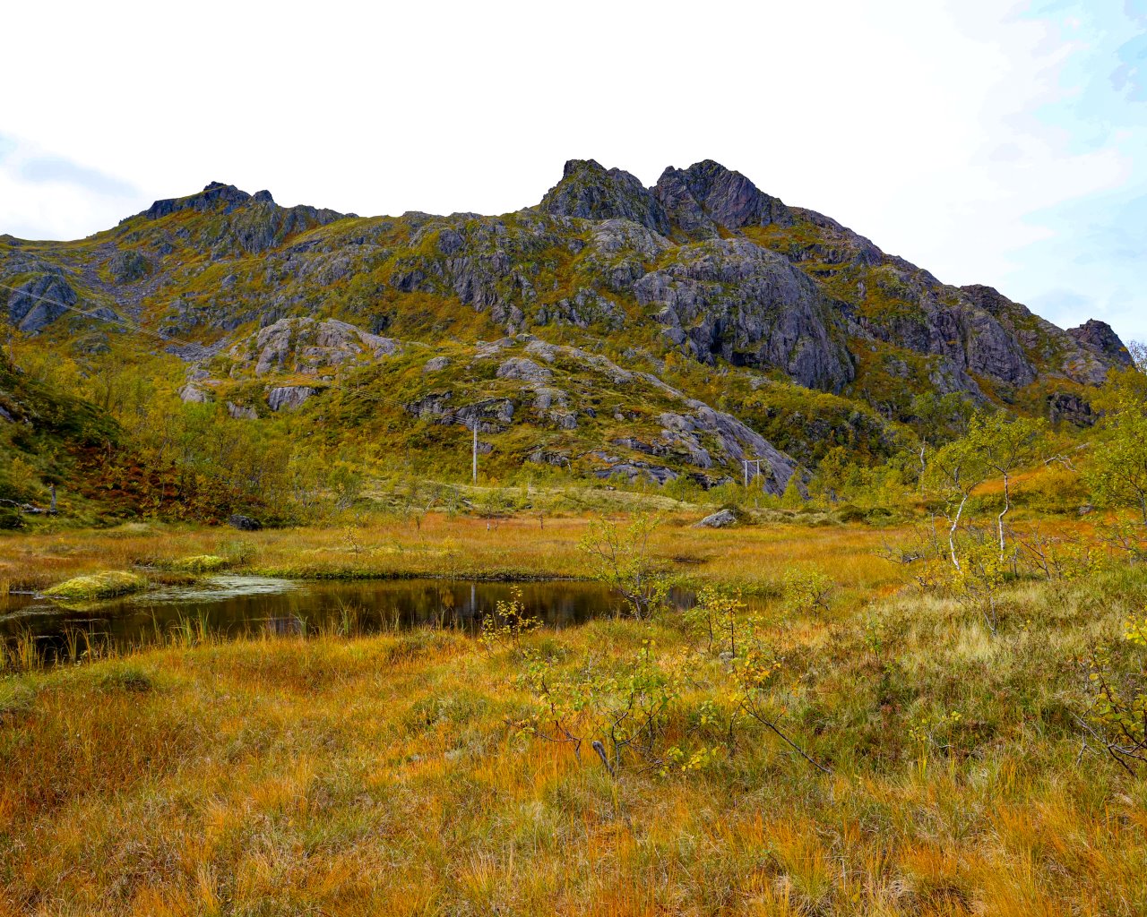 lofoten_008