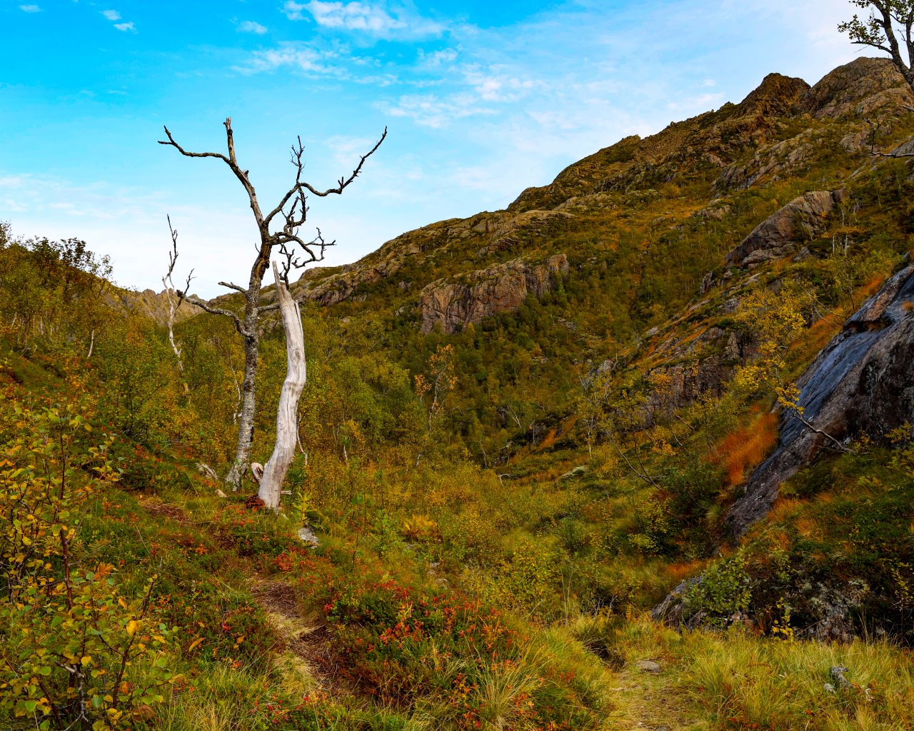 lofoten_009