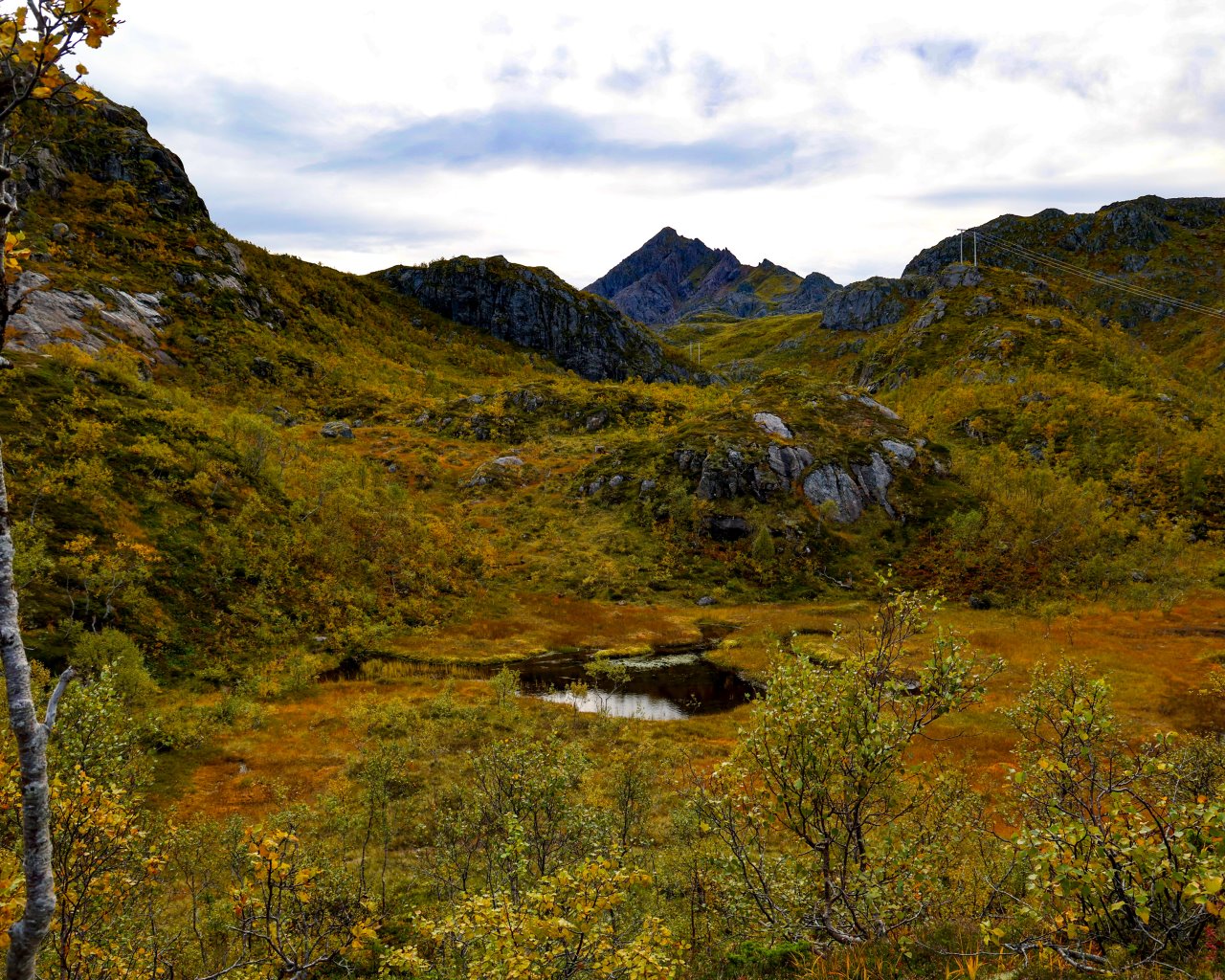 lofoten_010