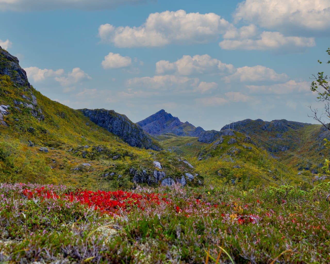 lofoten_011