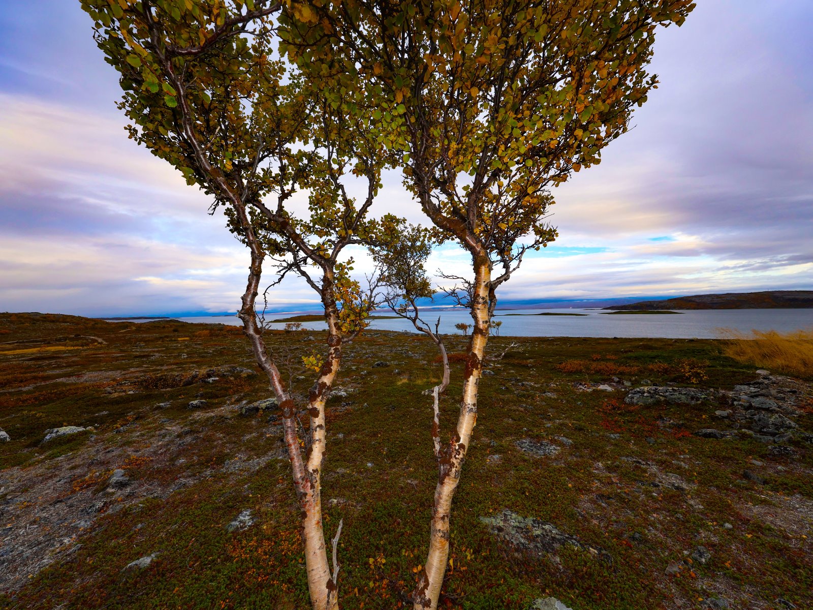Verregnetes Hammerfest