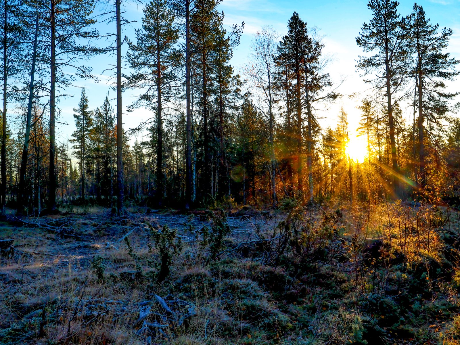 Pyhäjärvi _017