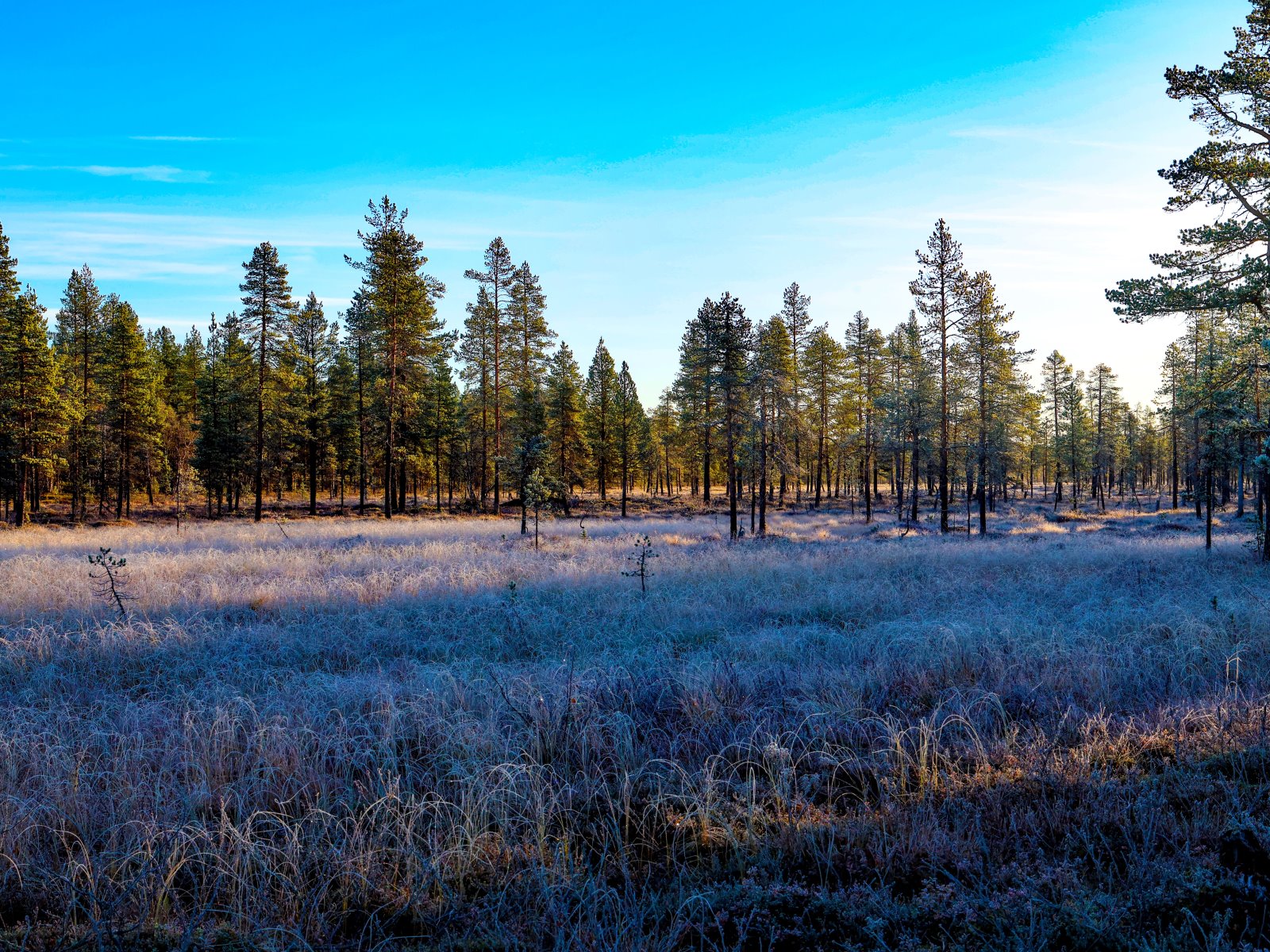 Pyhäjärvi _020